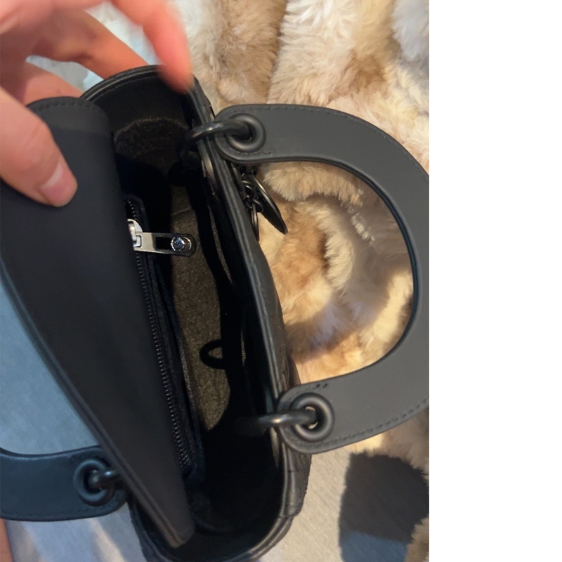 Misura per Lady Dio R Bag Orga - Luxury Bags Dior recensione e prezzo