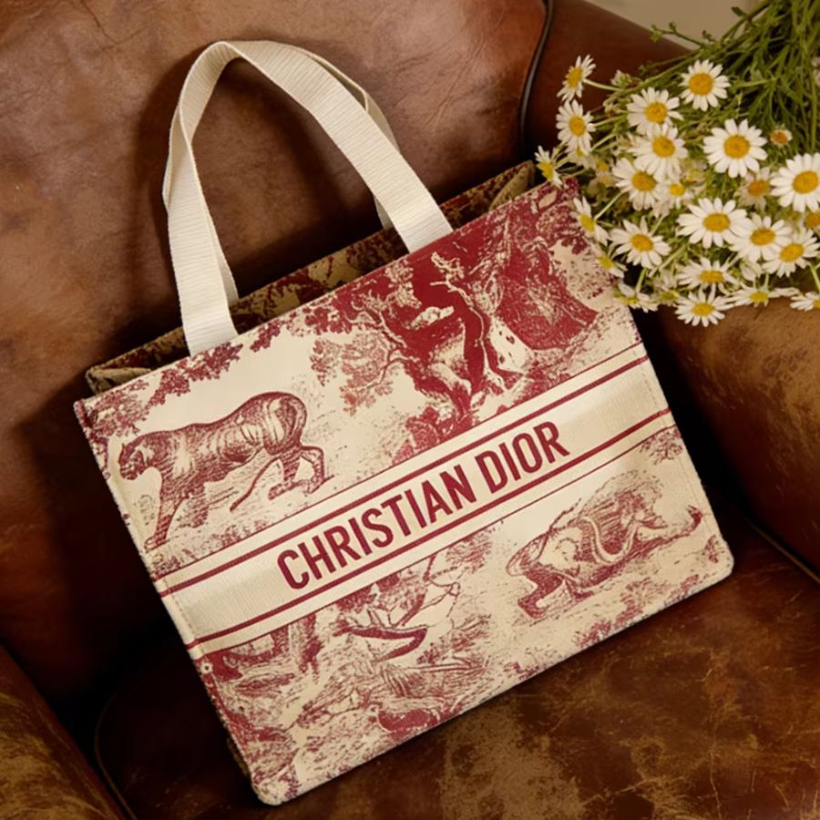 Borsa Christian Dior, borsa to - Luxury Bags Dior recensione e prezzo