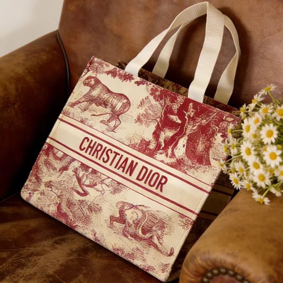 Borsa Christian Dior, borsa to - Luxury Bags Dior recensione e prezzo